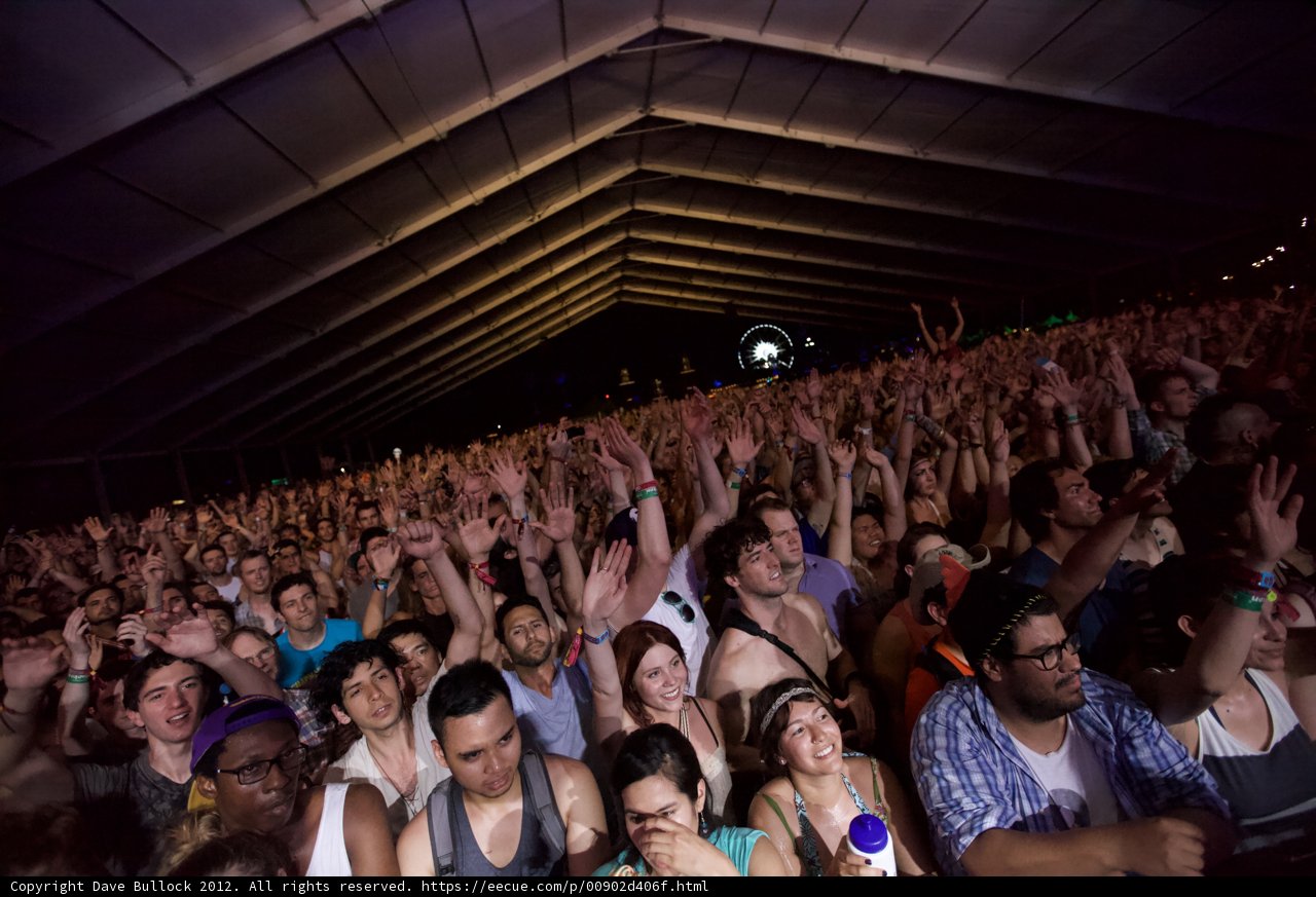 Electrified Crowd at Coachella 2012