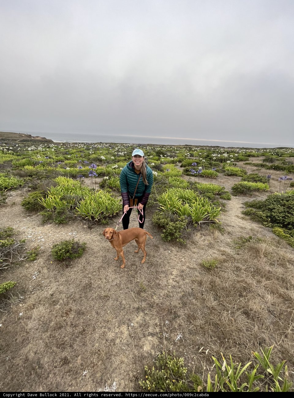 A Hike with My Furry Friend