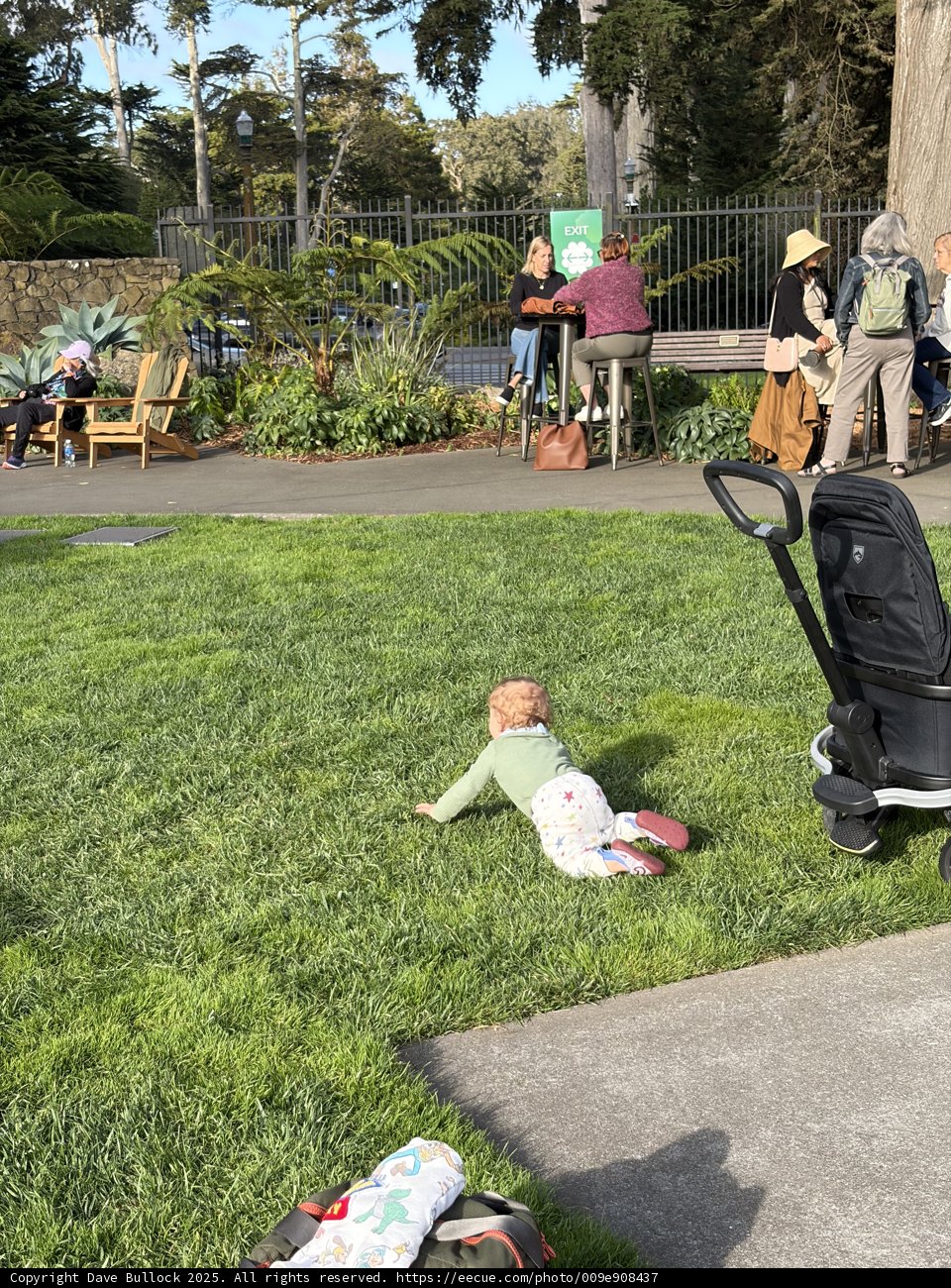 Afternoon at the Botanical Garden