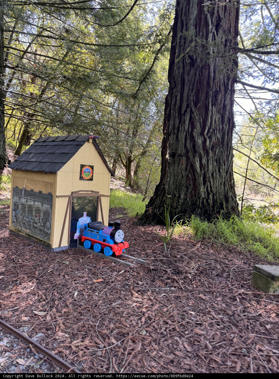 Tiny Train Adventures