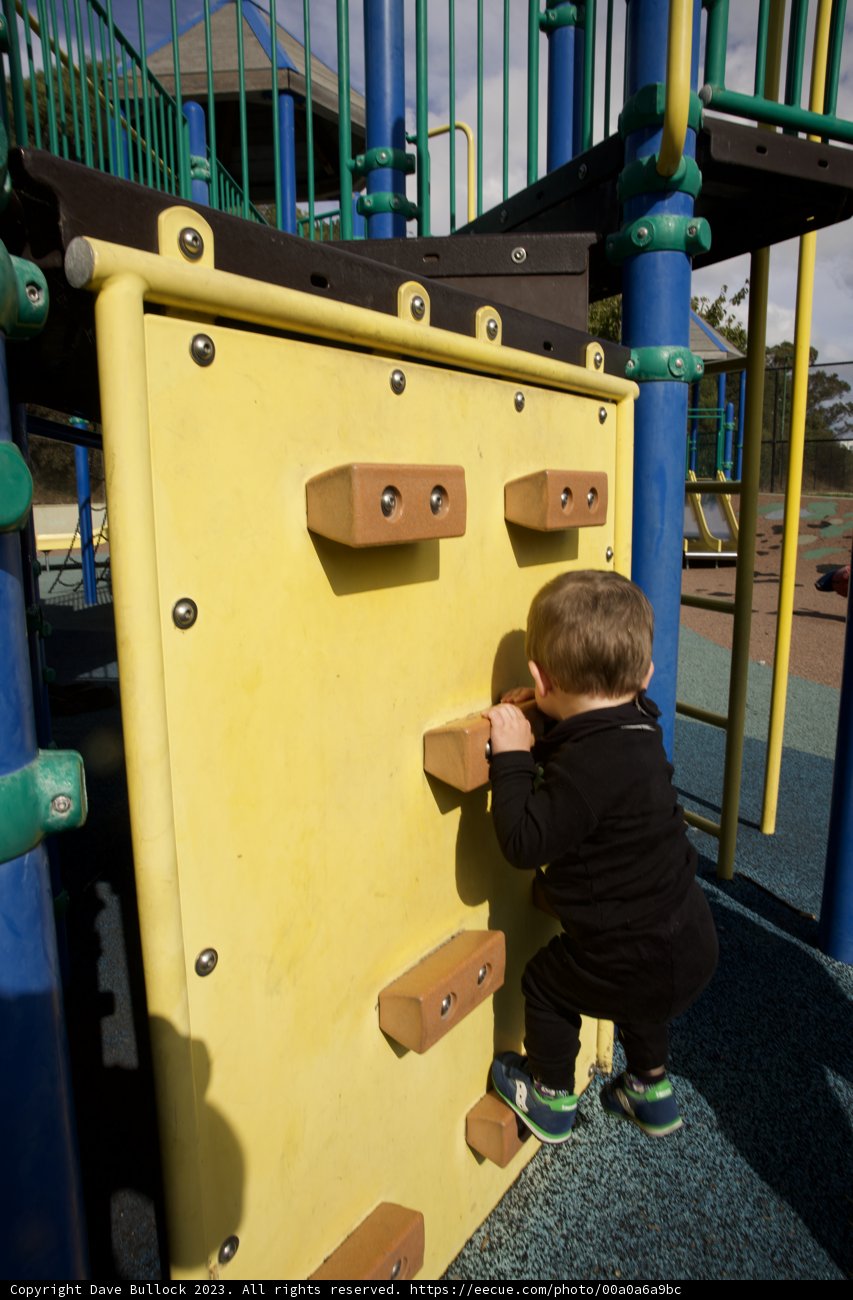 Playful Ascent in San Francisco's Popping Colors