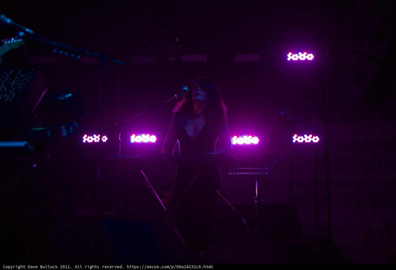 Purple Hues on the Keyboard