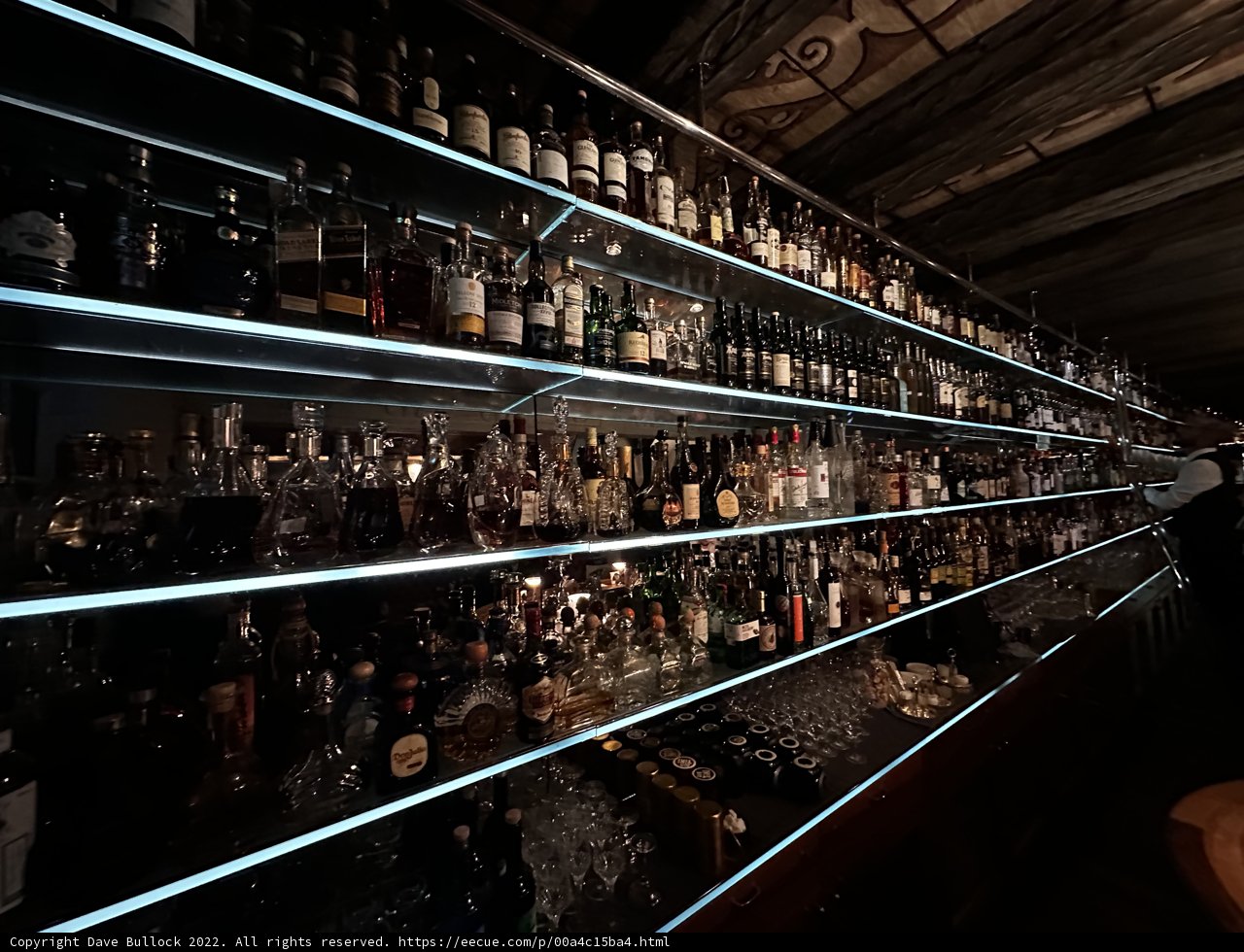 Boozing up in a Zurichian bar