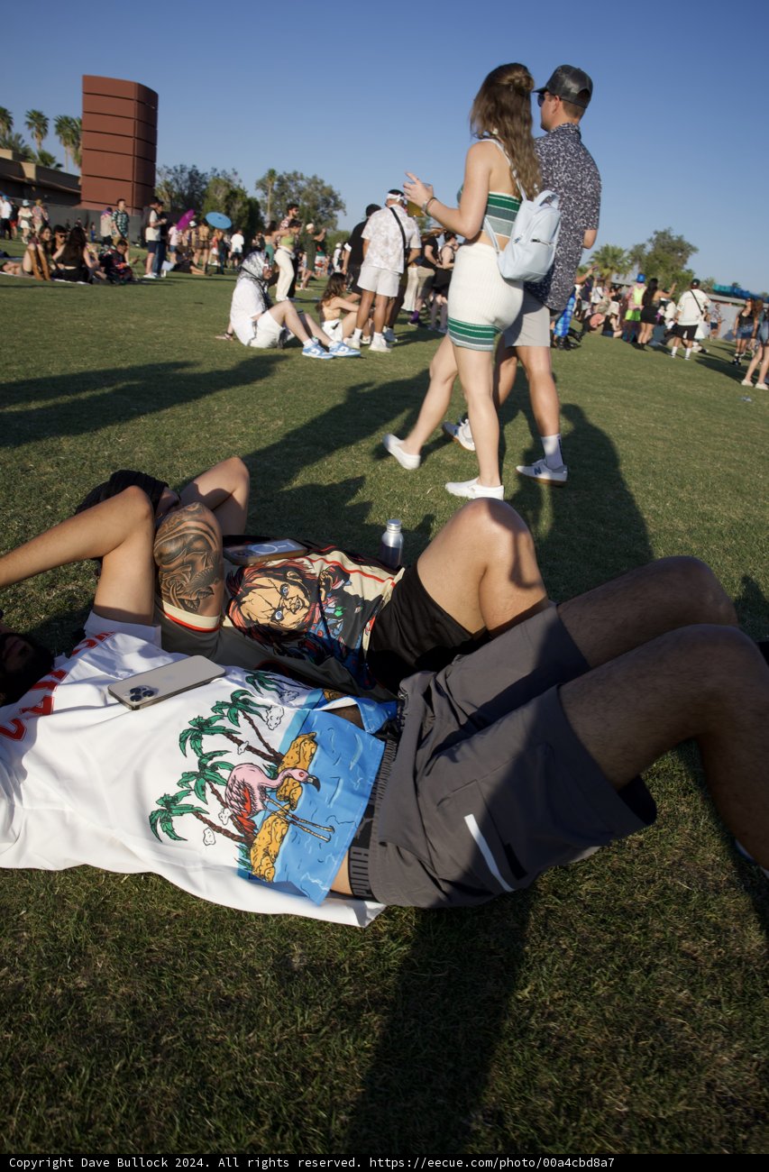 Lazy Afternoon at Coachella 2024