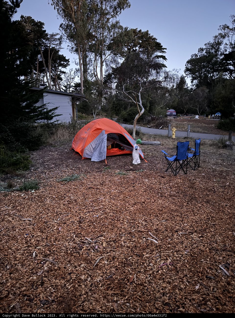 Embracing Nature in San Francisco