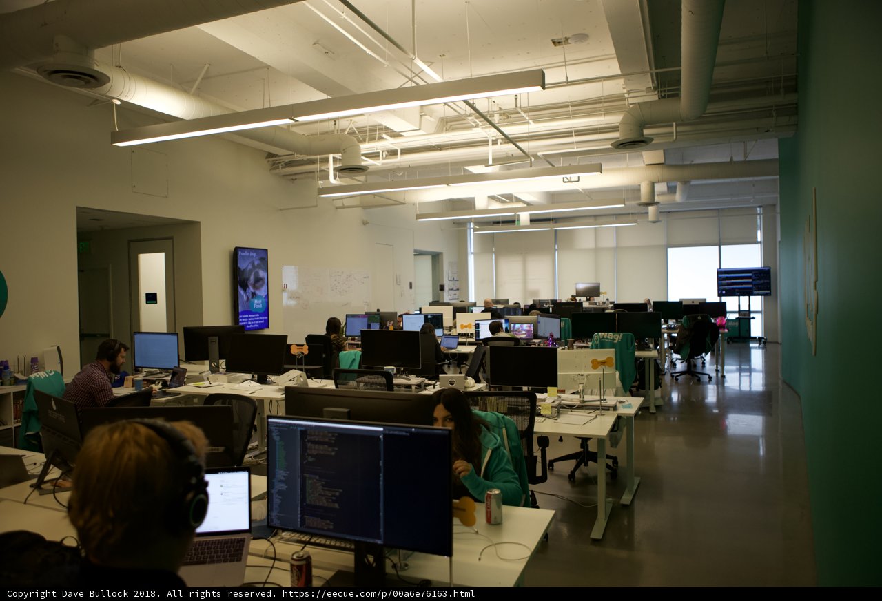 Busy Scene in a Productive Office