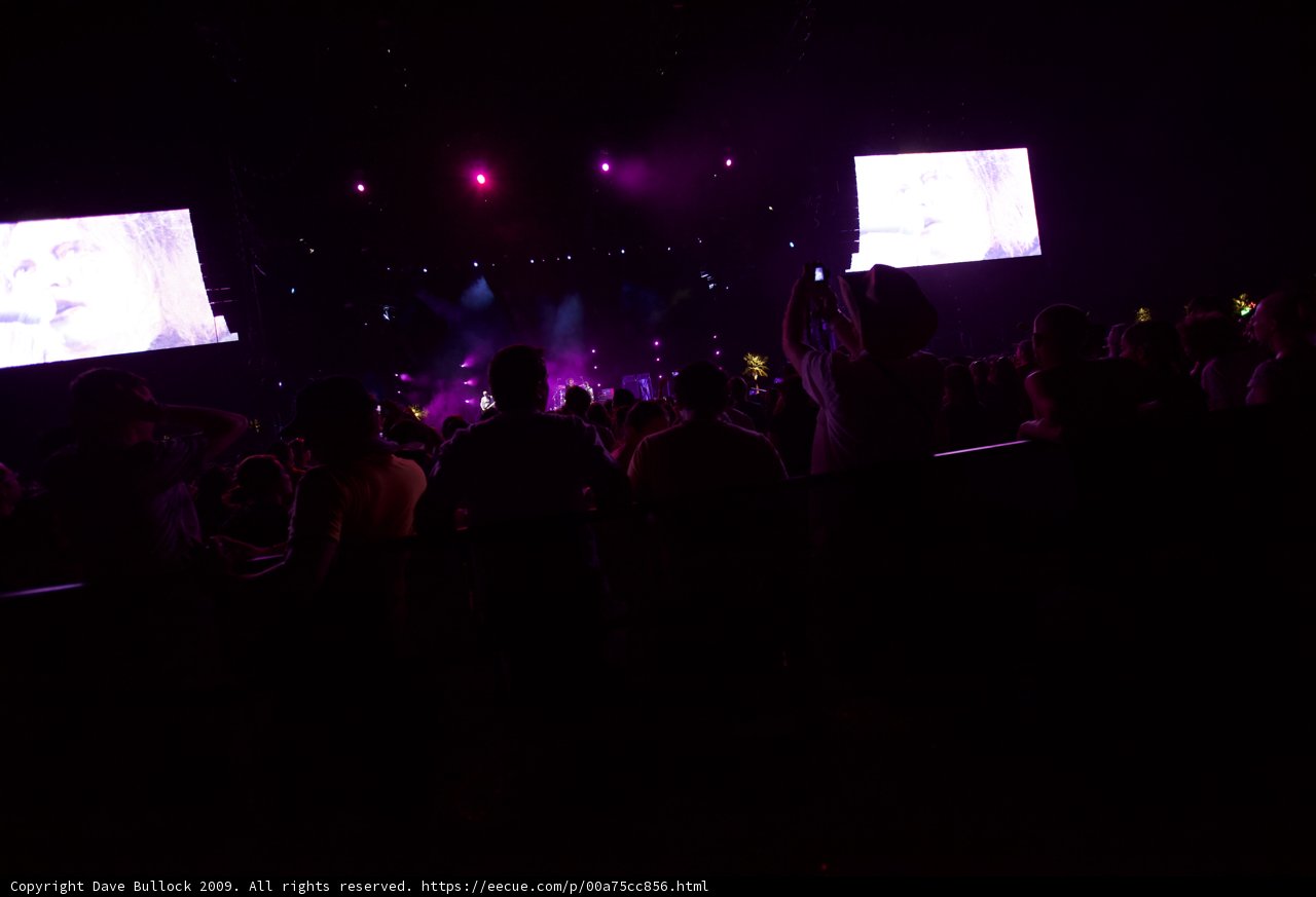 Purple Haze Concert
