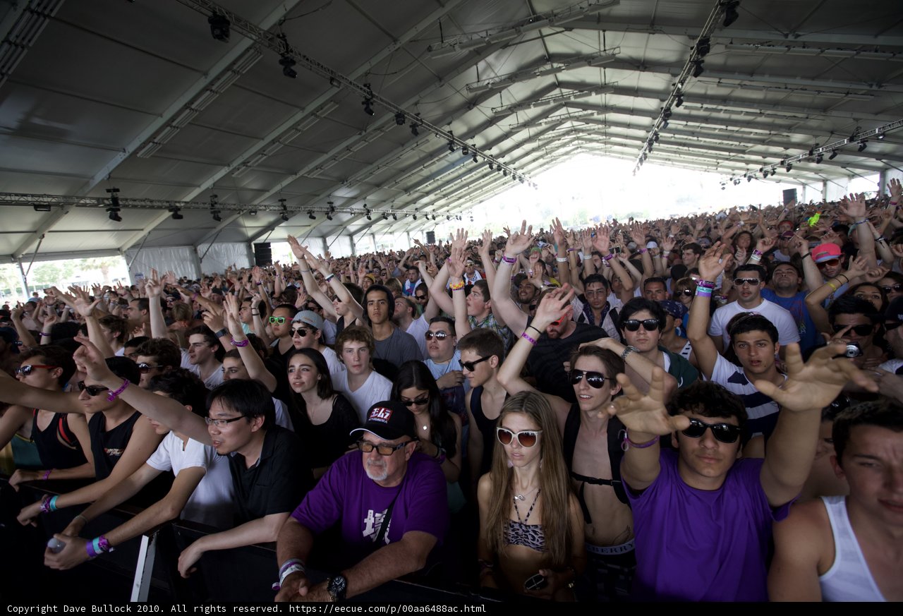 Partygoers unite at Coachella 2010