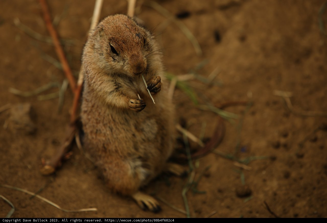 A Day at the San Francisco Zoo: Tiny Tenant