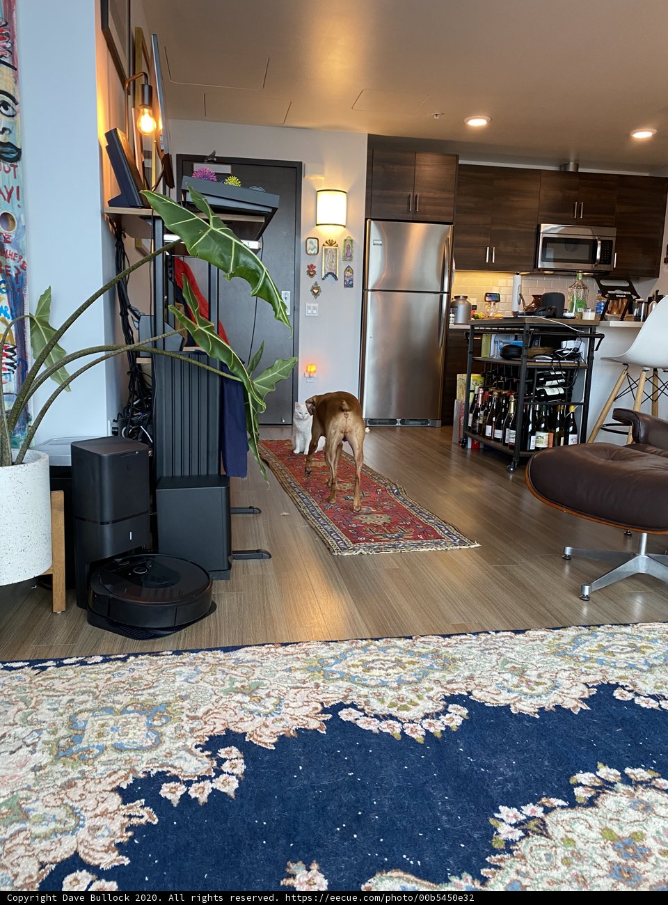 Canine Companion in a Cozy Living Room