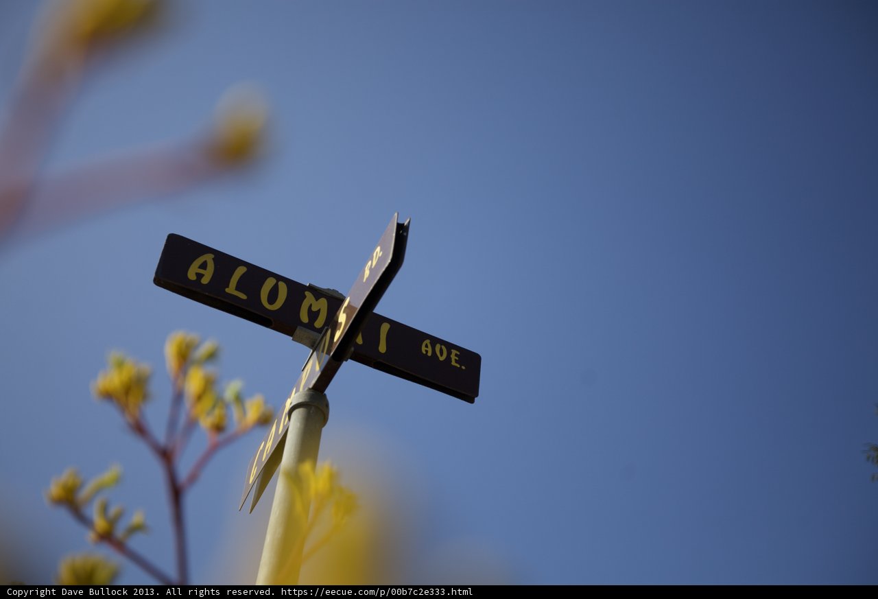 Blossoming Street Sign