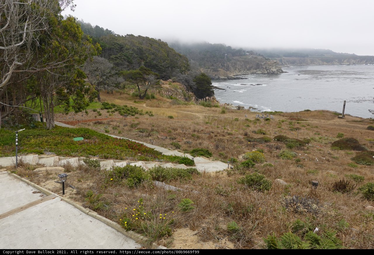 Serenity on the Promontory