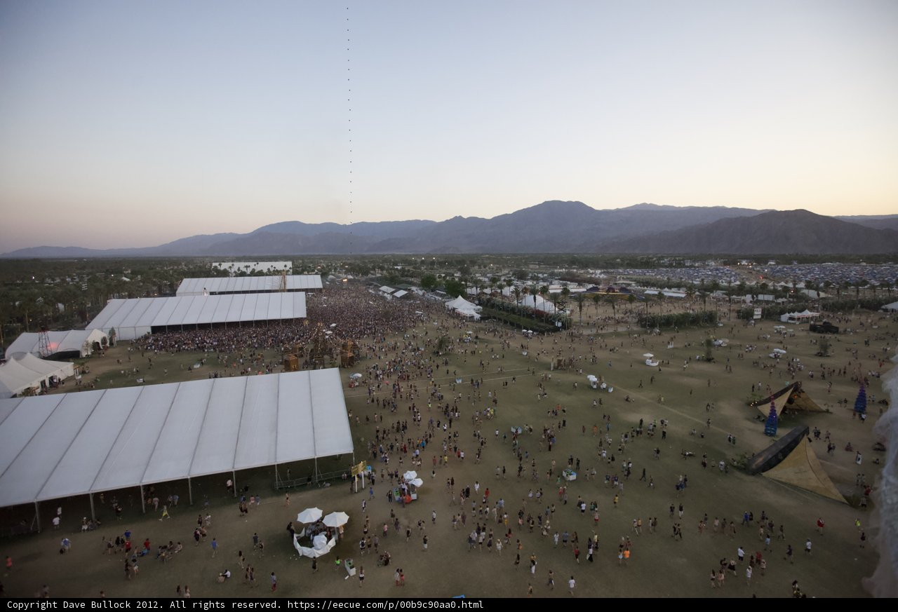 Desert Festival Delight