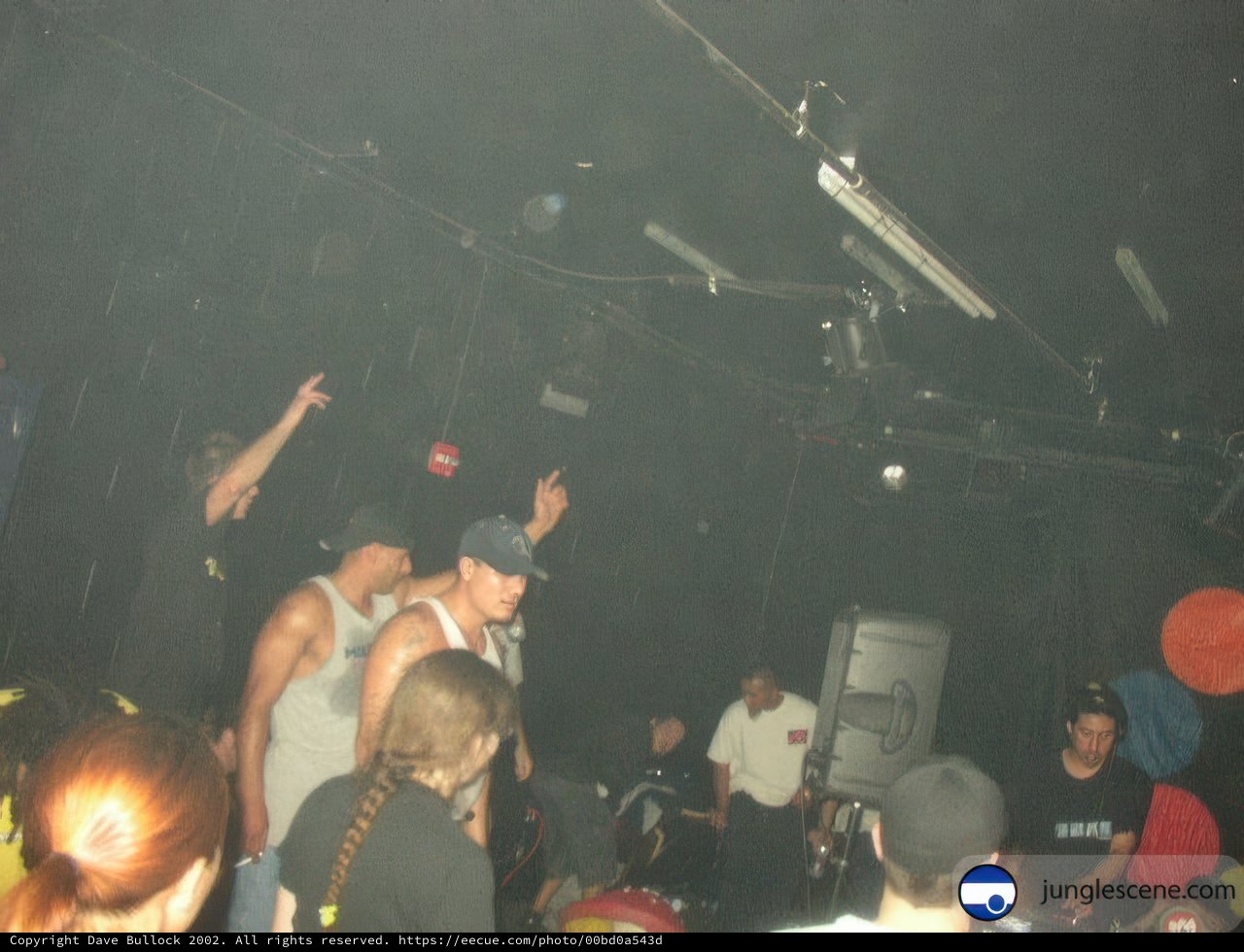 Nightclub Fun