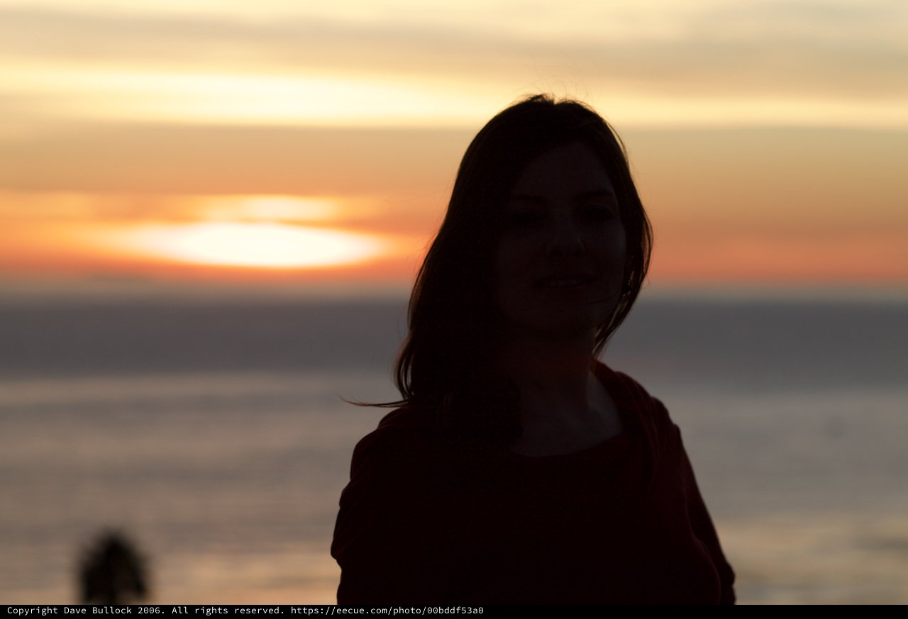 Silhouette of a Woman Against a Golden Sunset