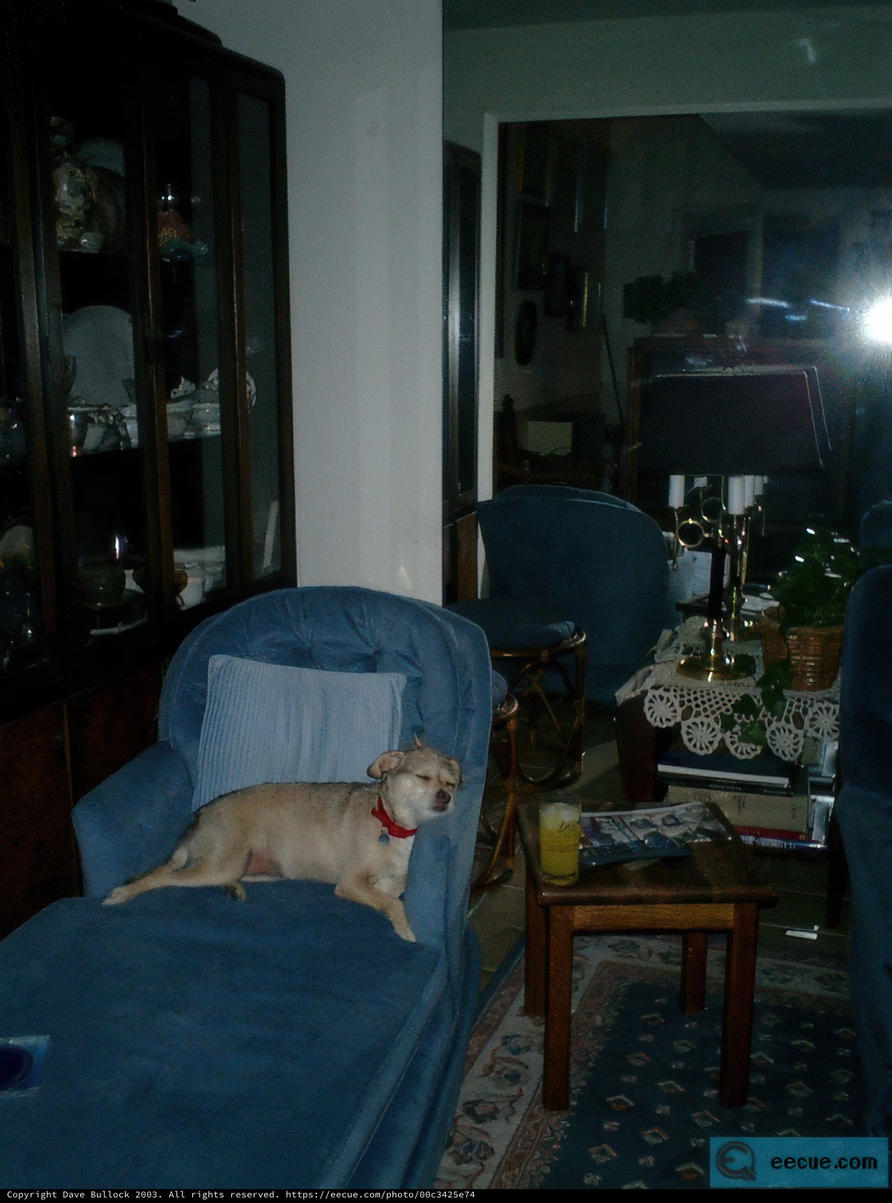 Cozy Living Room Companion