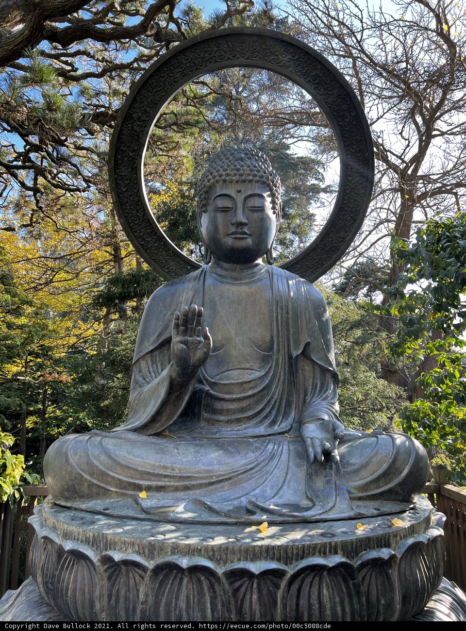 The Serene Buddha Statue at Japanese Tea Garden