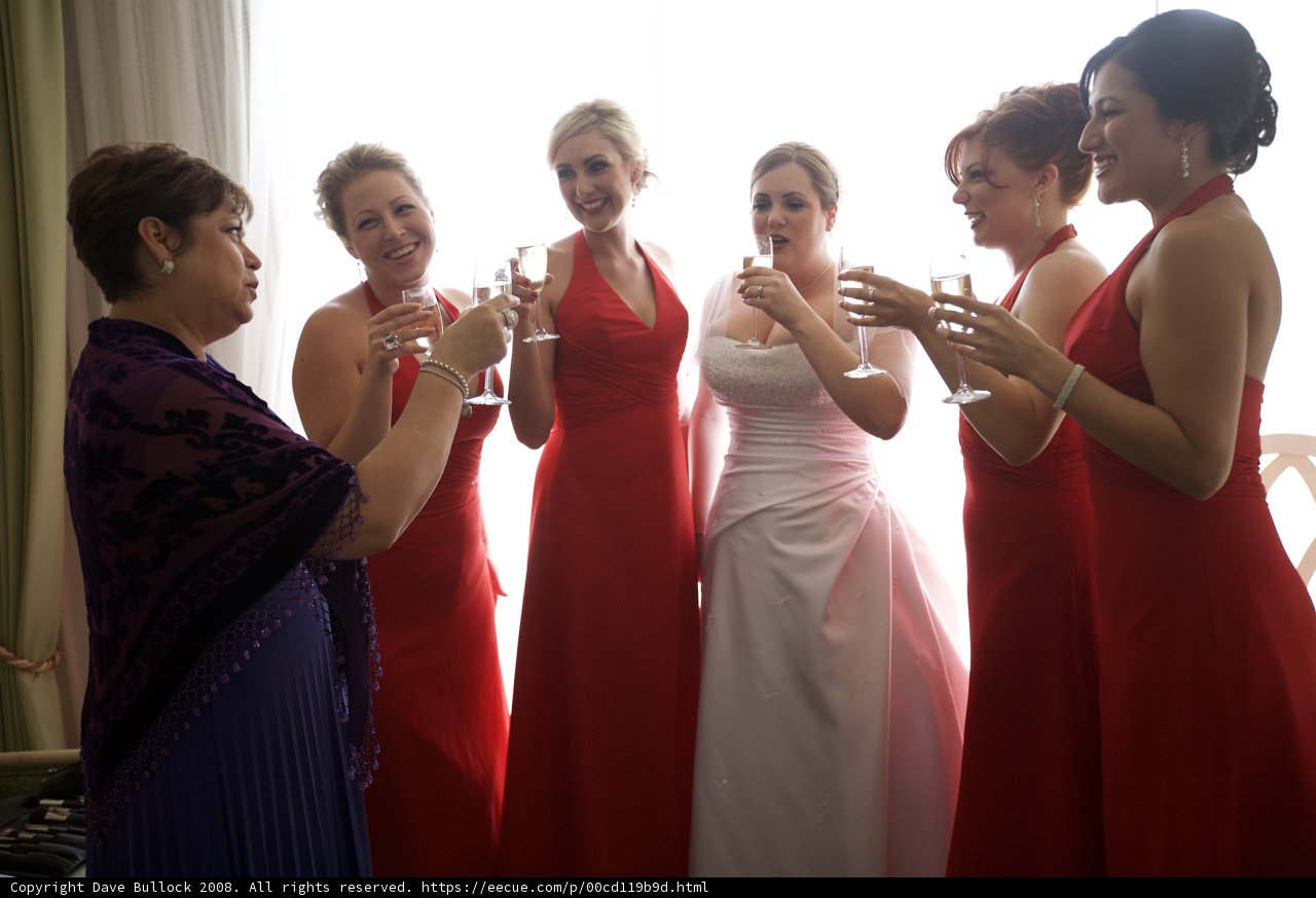 A Toast to the Bride