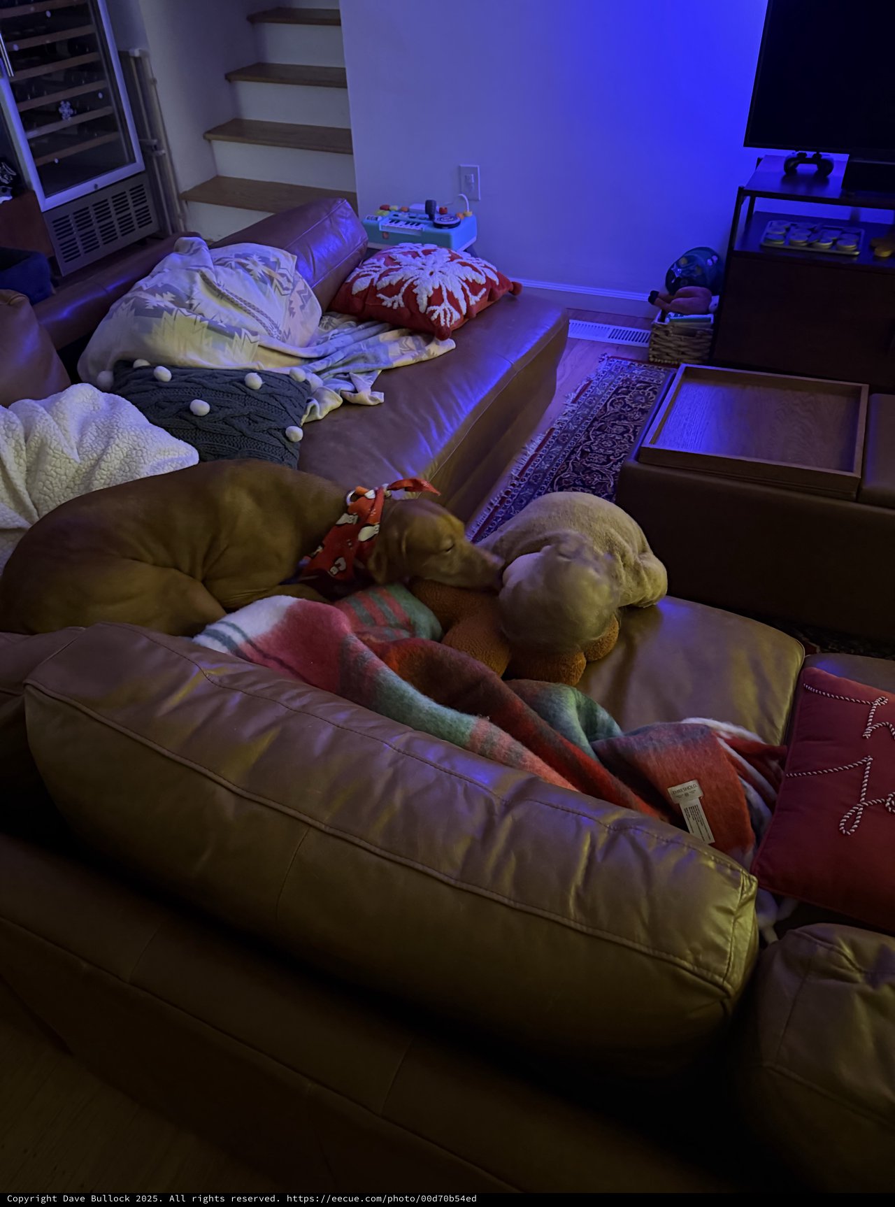 Cozy Pillow Fort Setup in Purple-Lit Living Room