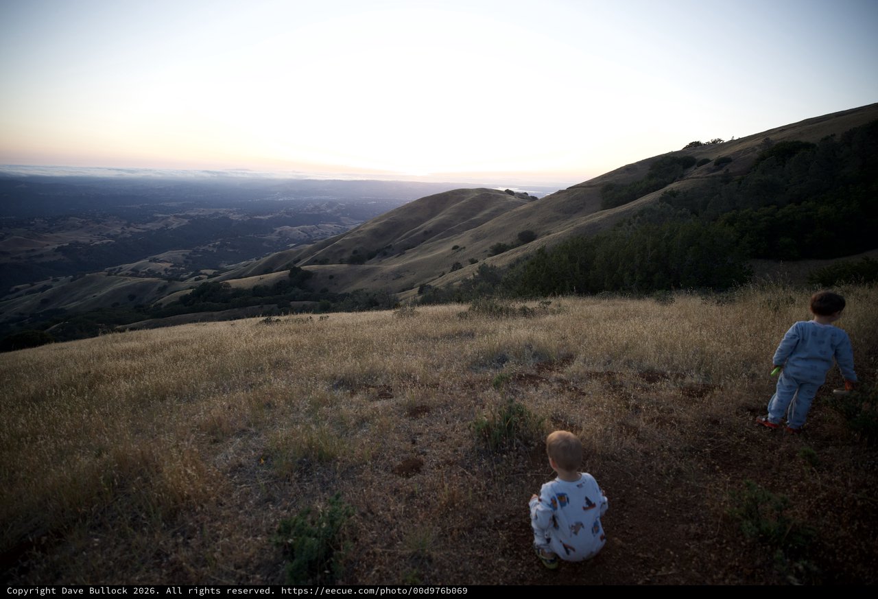 Two Toddlers Gaze Over Golden Hills at Dusk