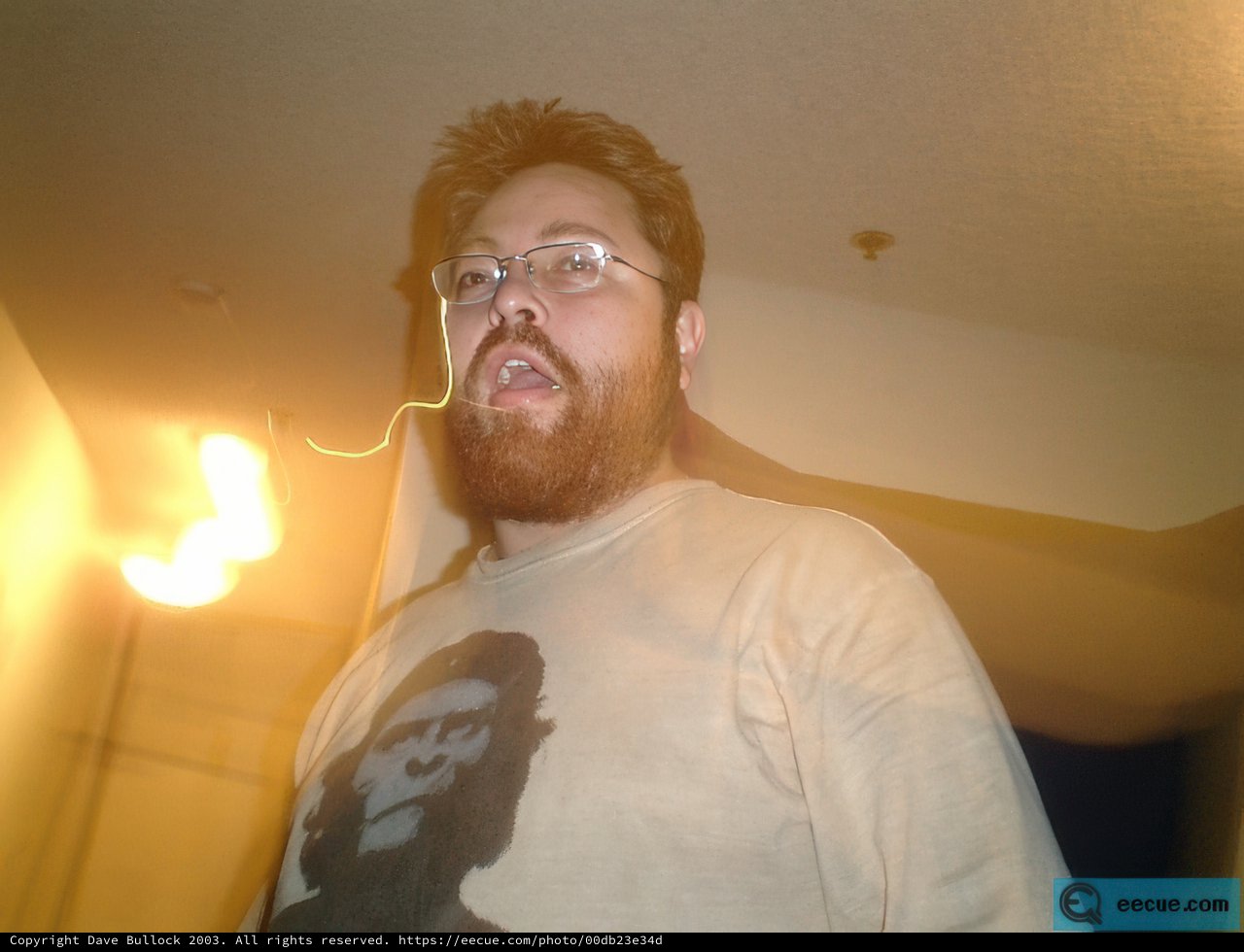 Bearded and Bespectacled