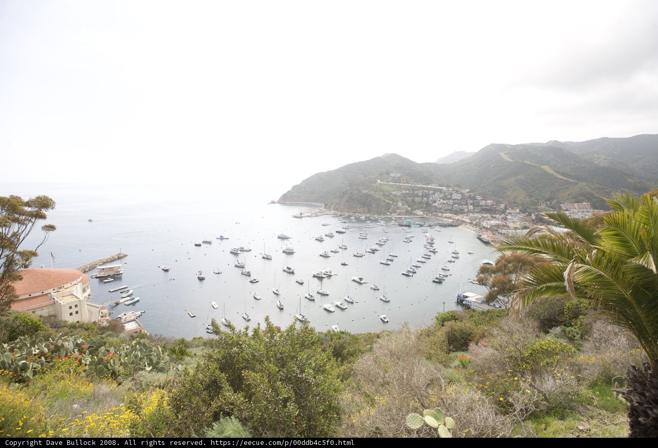 Harbor View in Catalina Island