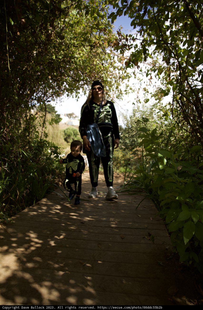 A Stroll Through the Woodlands: Adventure in Spooky San Francisco