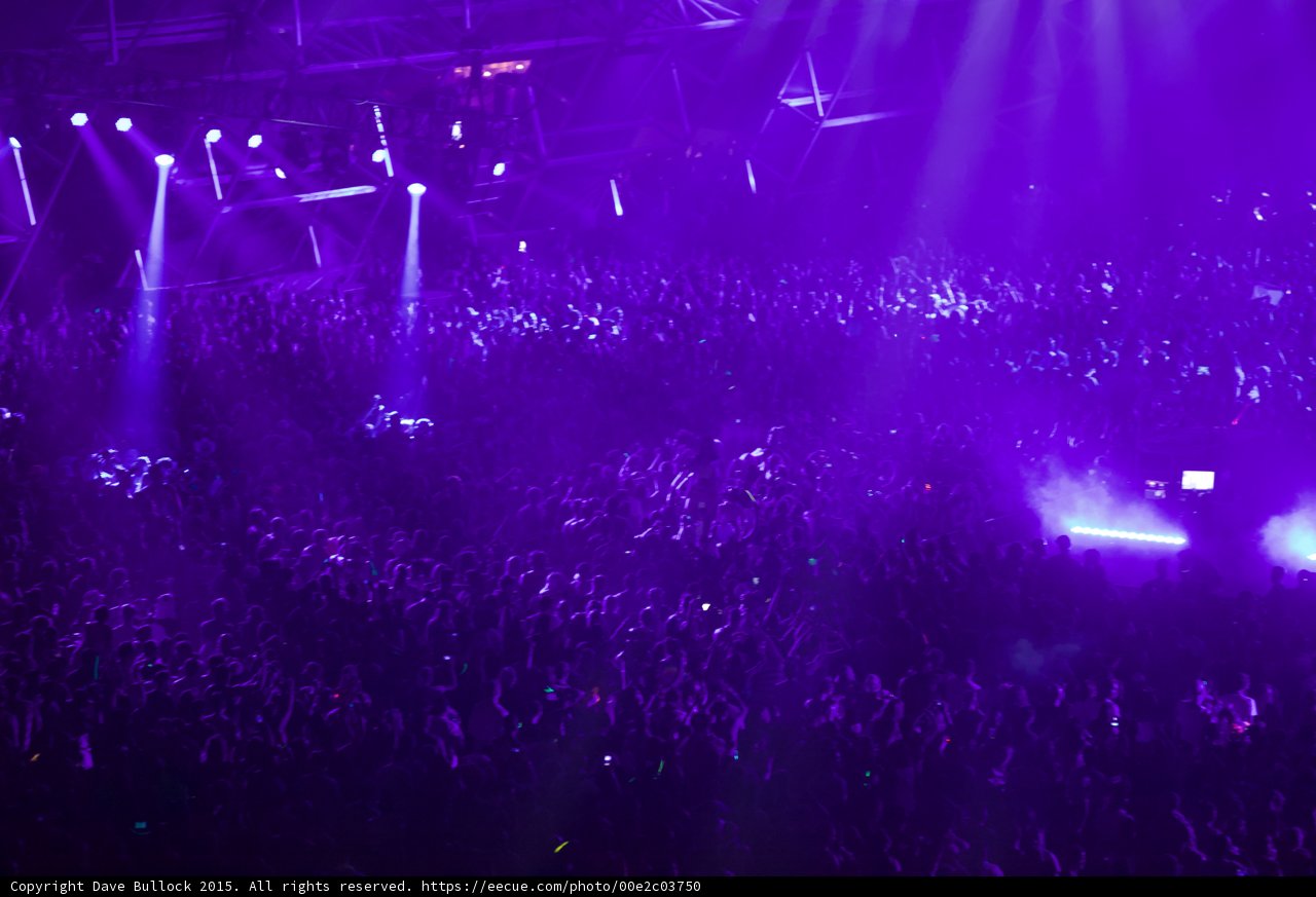 Purple Haze