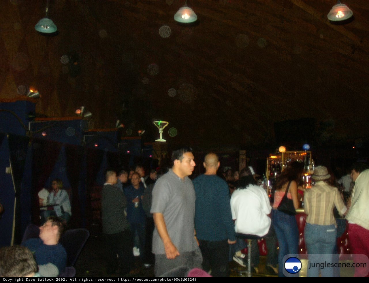 Nightlife Crowd at the Local Pub
