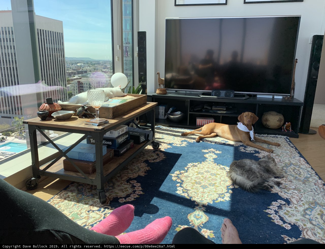 Furry Friends and Entertainment Center in Los Angeles Home