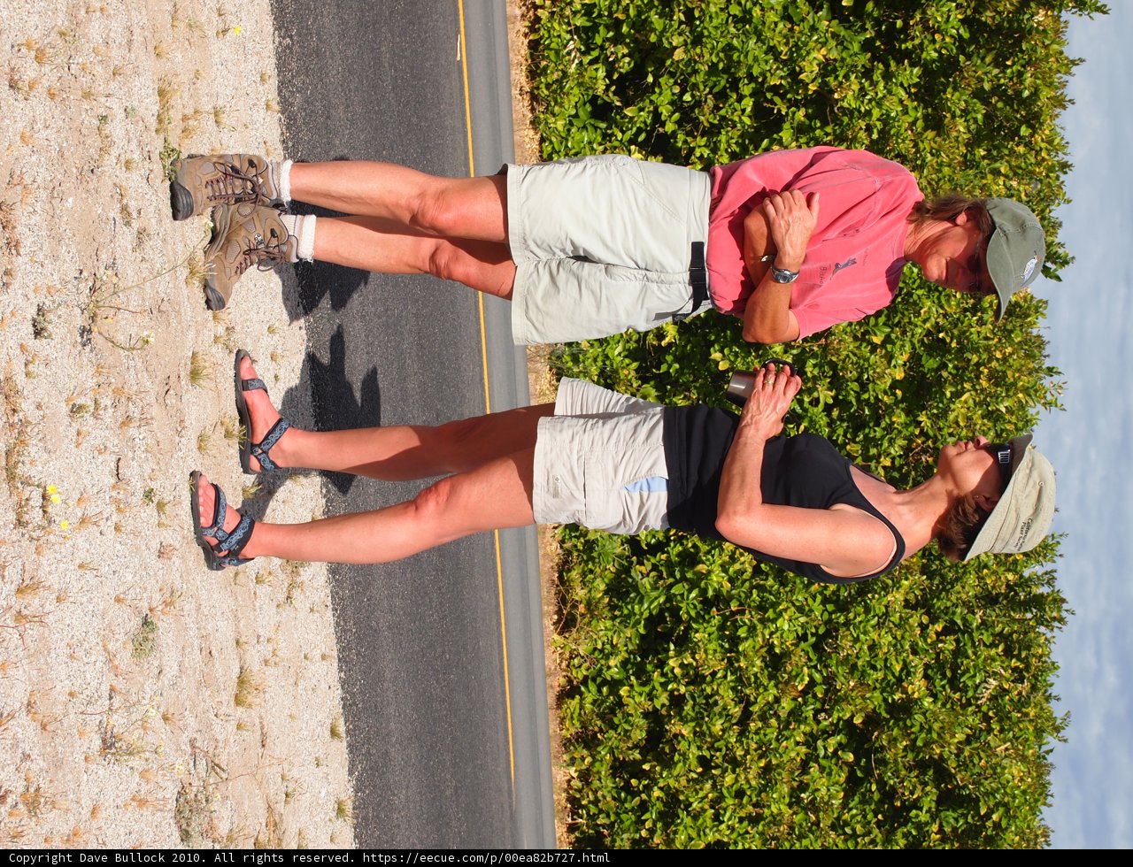 Roadside companions