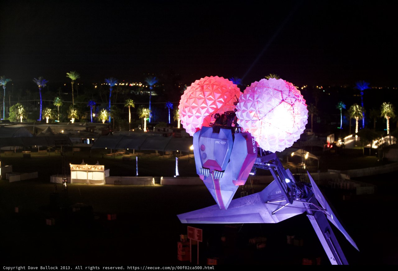 Illuminated Avian Bloom