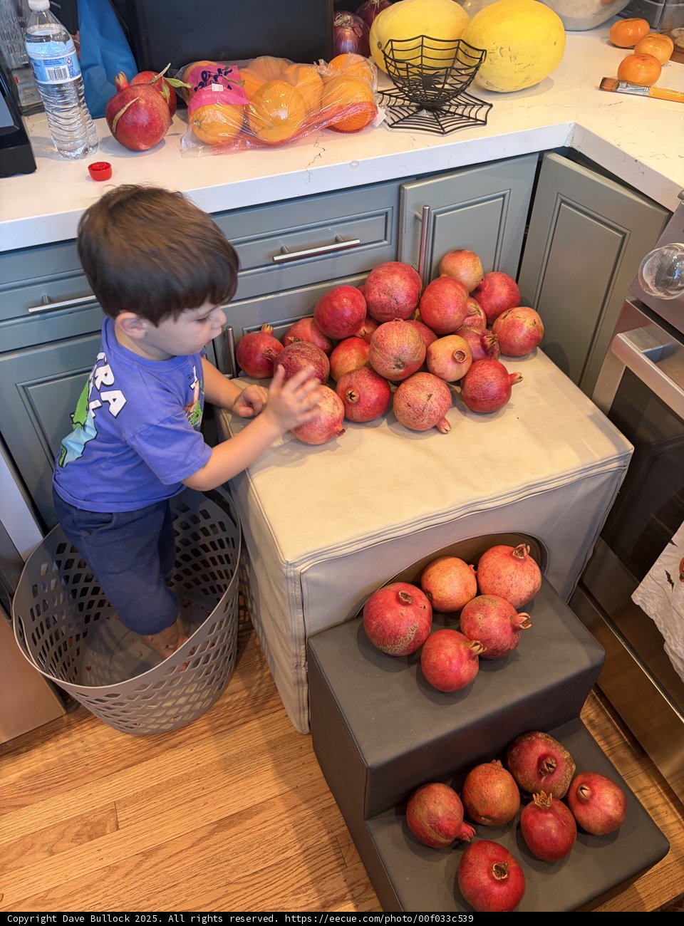 Autumn's Bounty