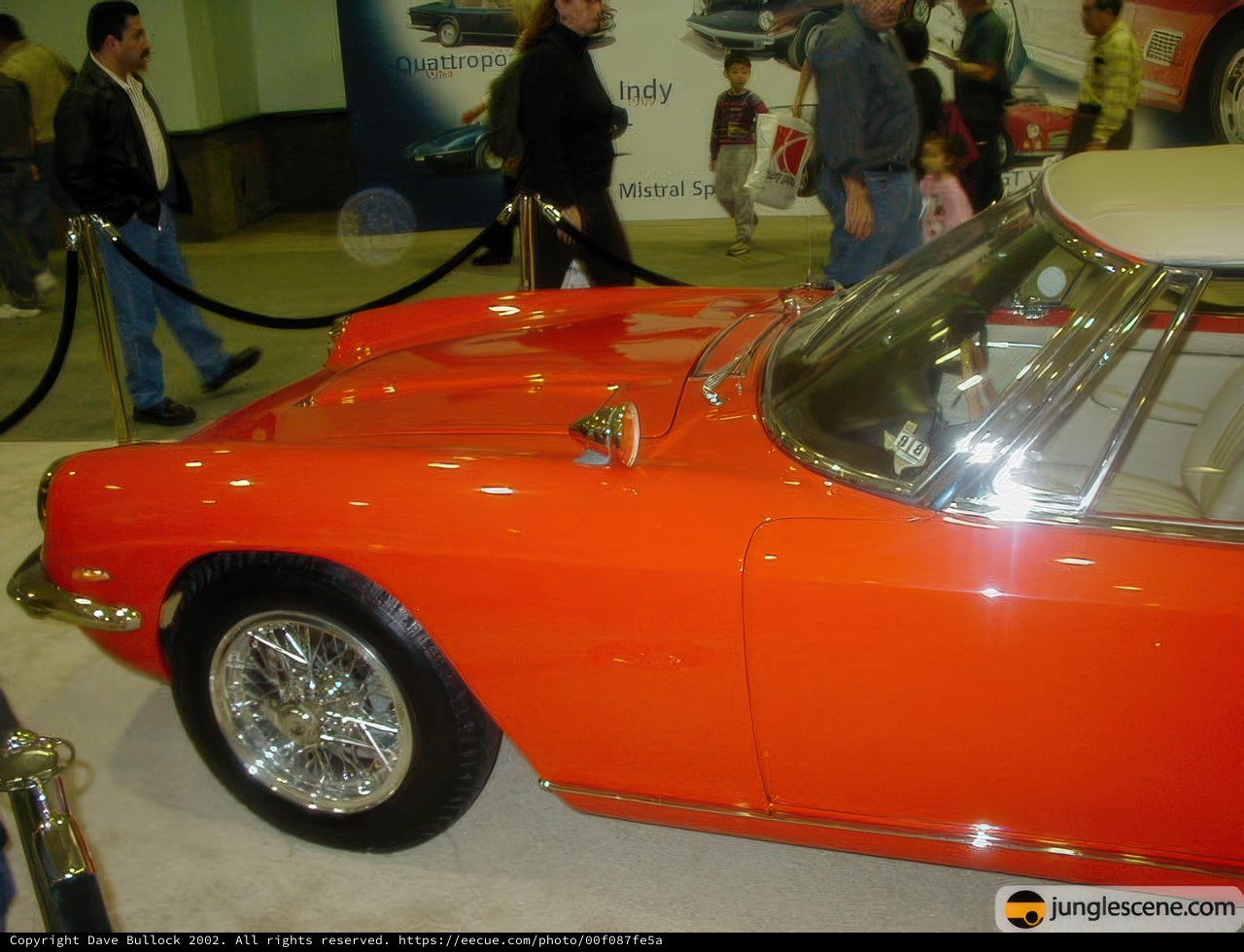 Orange Sports Car Steals the Show