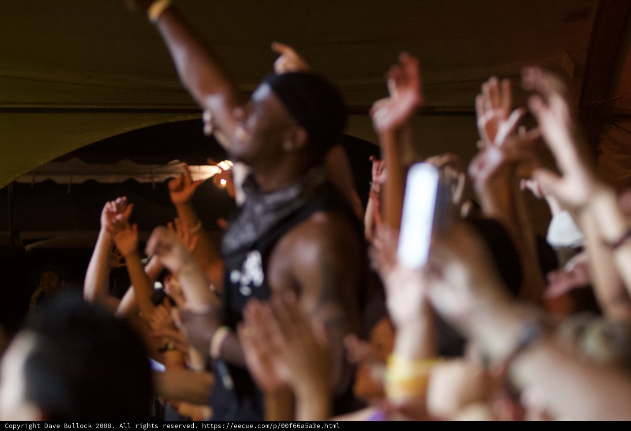 Coachella 2008 Crowd Goes Wild