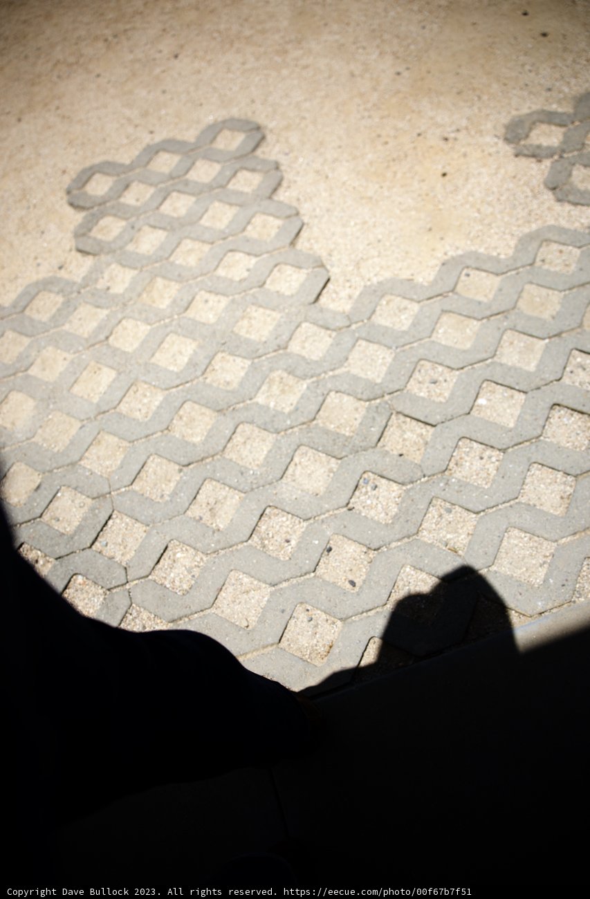 The Patterned Pathway