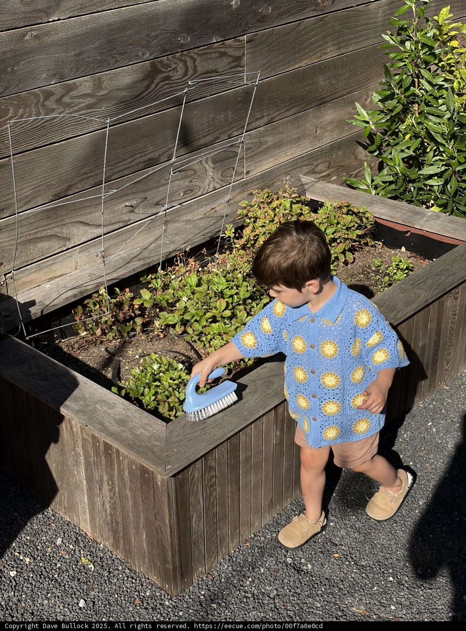 Little Gardener's Delight
