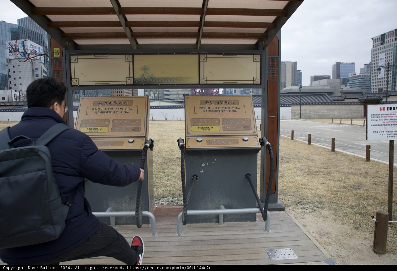 The City's Pulse: A Solo Traveler's Pause