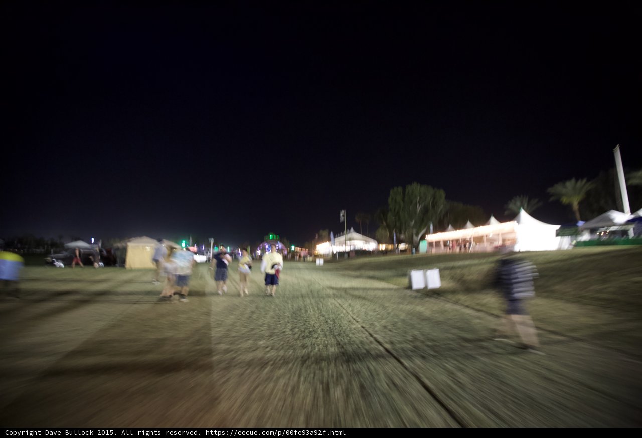 Festival Crowds at Night