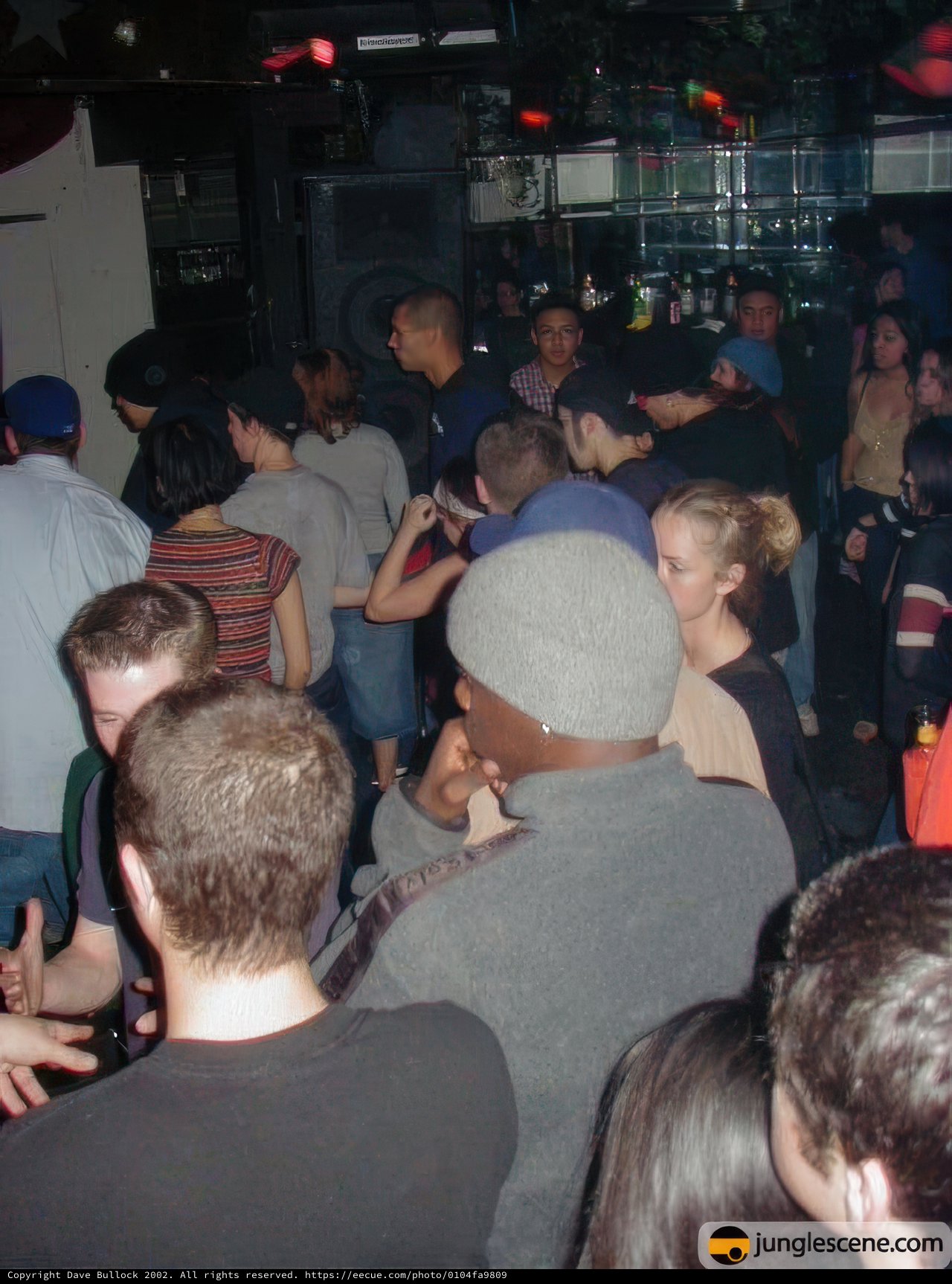 Nightclub Fun with a Crowd