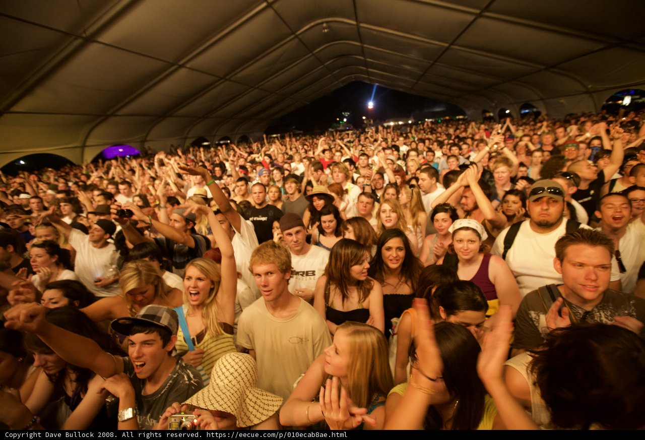Hands Up at Coachella 2008