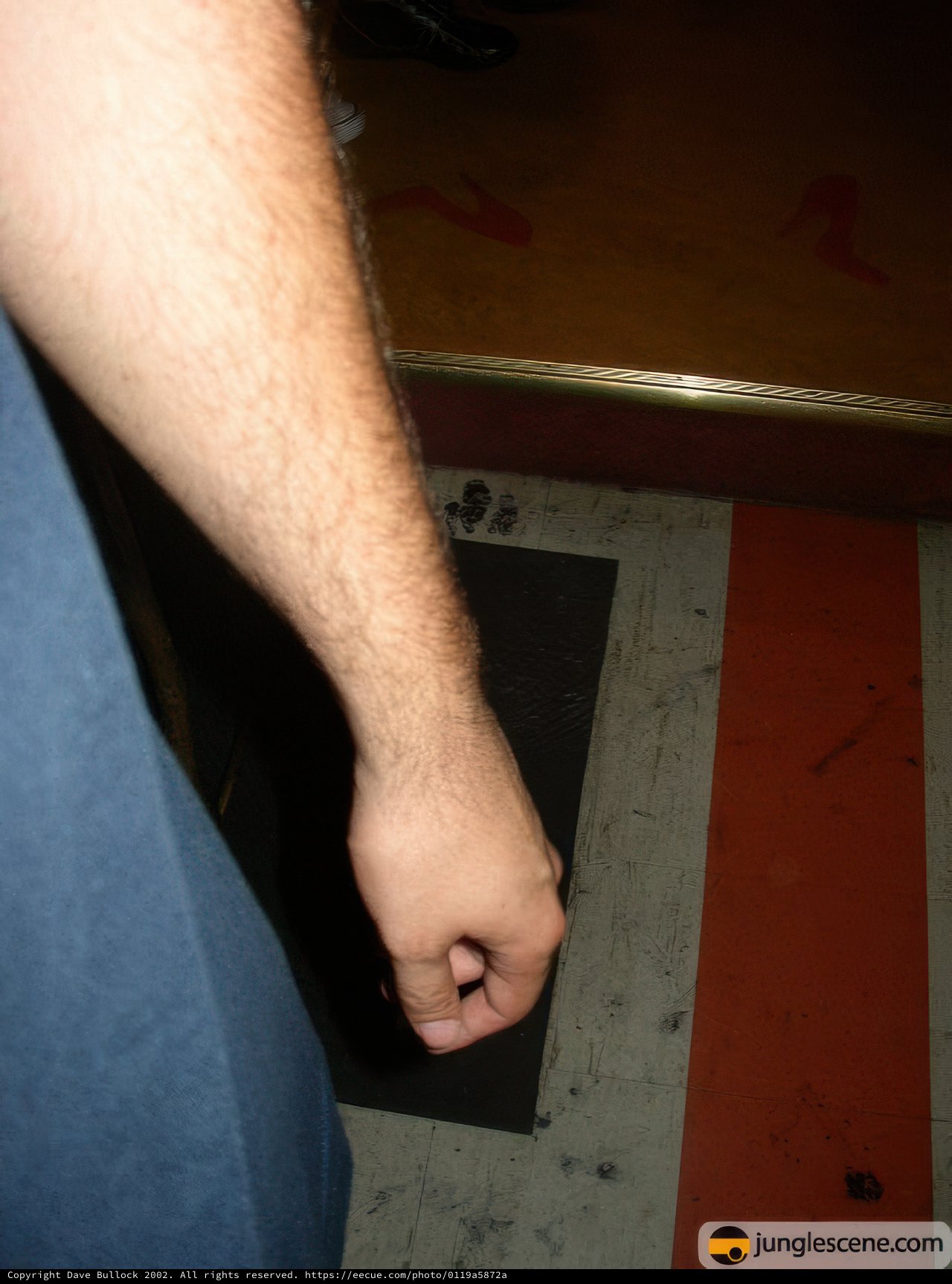 Skater's Hand Holds Board