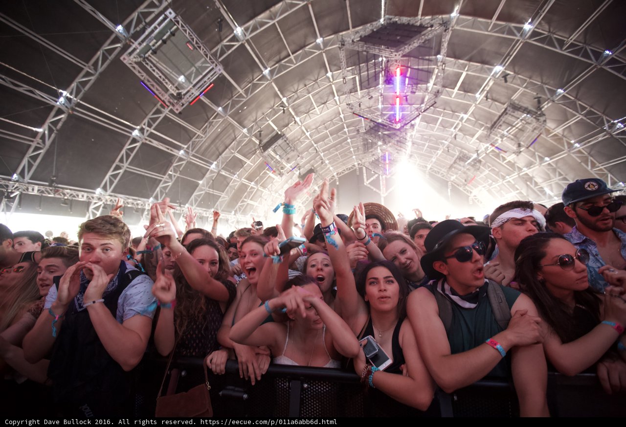2016 Coachella Music Festival Crowd