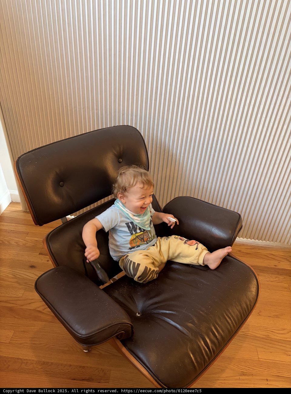 Joyful Moments in a Cozy Seat