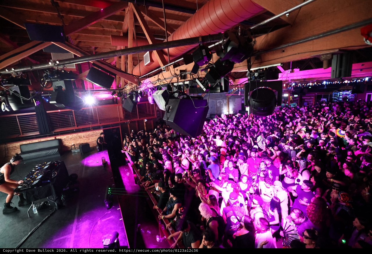 Packed Crowd Pulses Under Purple Lights at Wobbleland