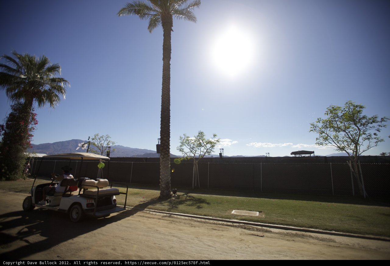Driving Through Paradise