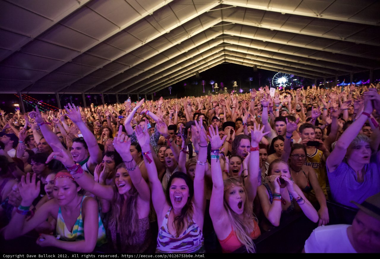 Electric Energy: The Excitement of a Crowded Concert Venue