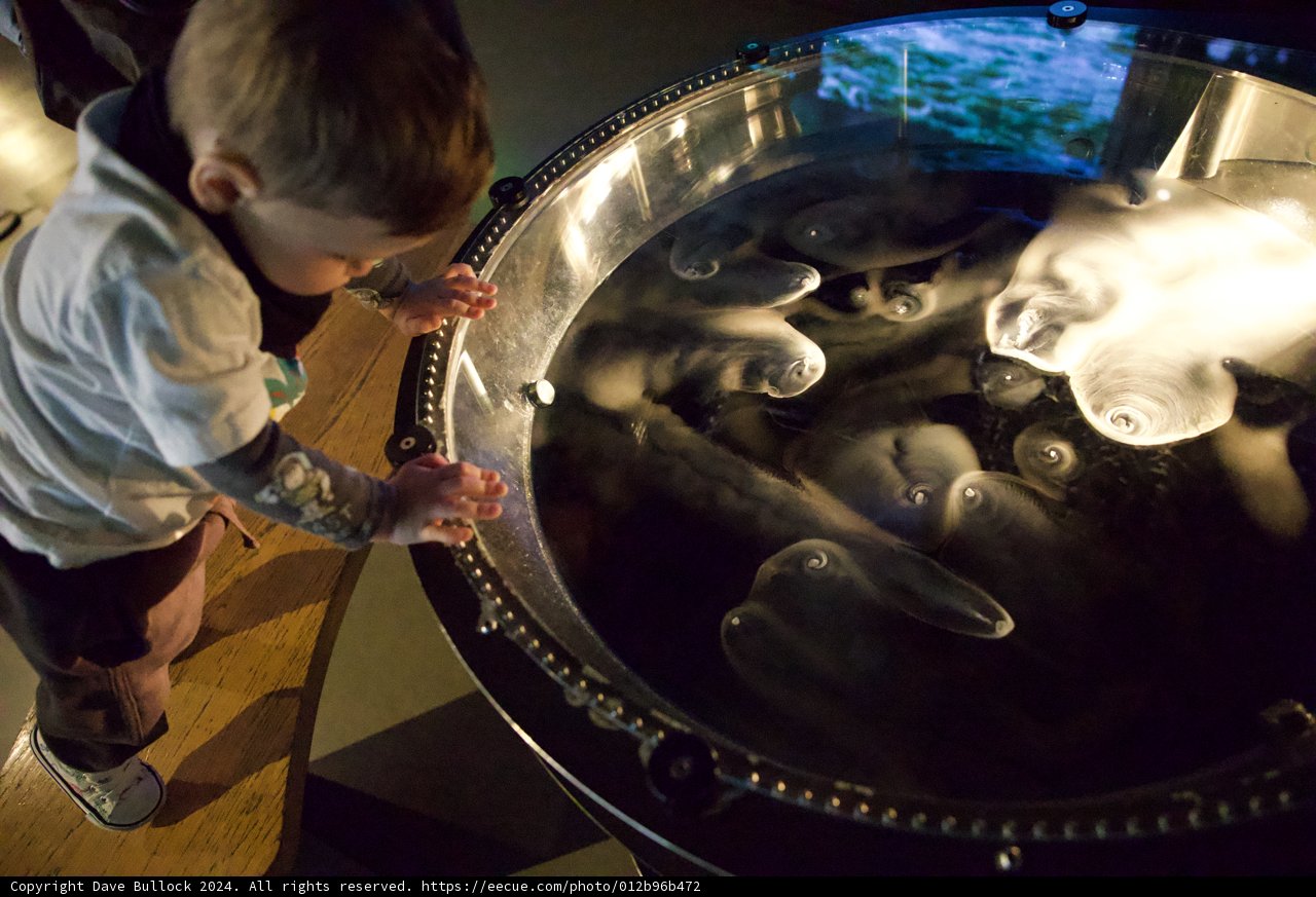 A Young Explorer's Underwater Adventure