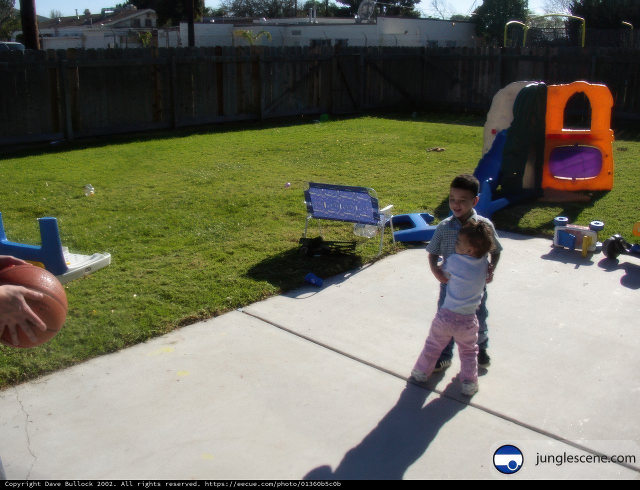 Backyard Basketball Fun