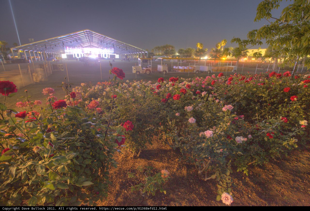 Nighttime Garden Oasis